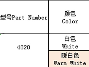 4028（全彩、ICRGB）系列